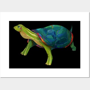 Red-Eared Slider Posters and Art